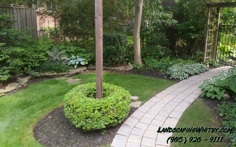 Gardening Gardener Flower Beds